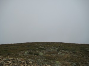 View from the summit of Mt Eisenhower, in a cloud