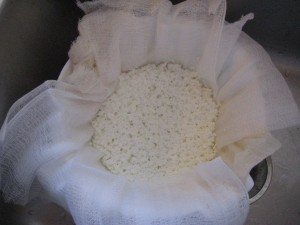 Draining the curds