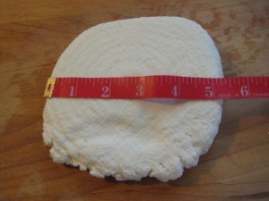 Paneer