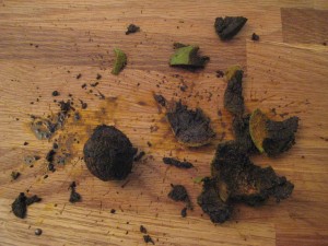 Black walnuts are kind of messy