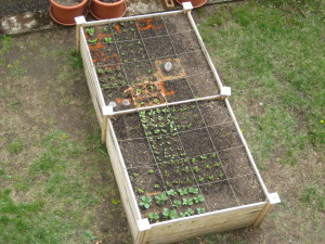Garden, 05/05/14