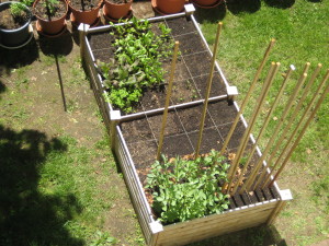 Garden, 06/02/14