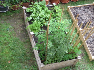 Garden, 07/04/14