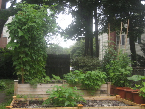 Garden, 08/02/14, front-view