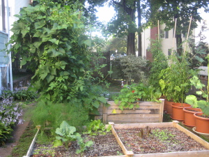 Garden, 09/08/14