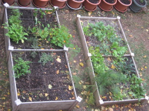 November 4th again, now looking down from above